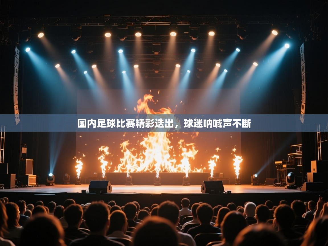国内足球比赛精彩迭出，球迷呐喊声不断  第2张