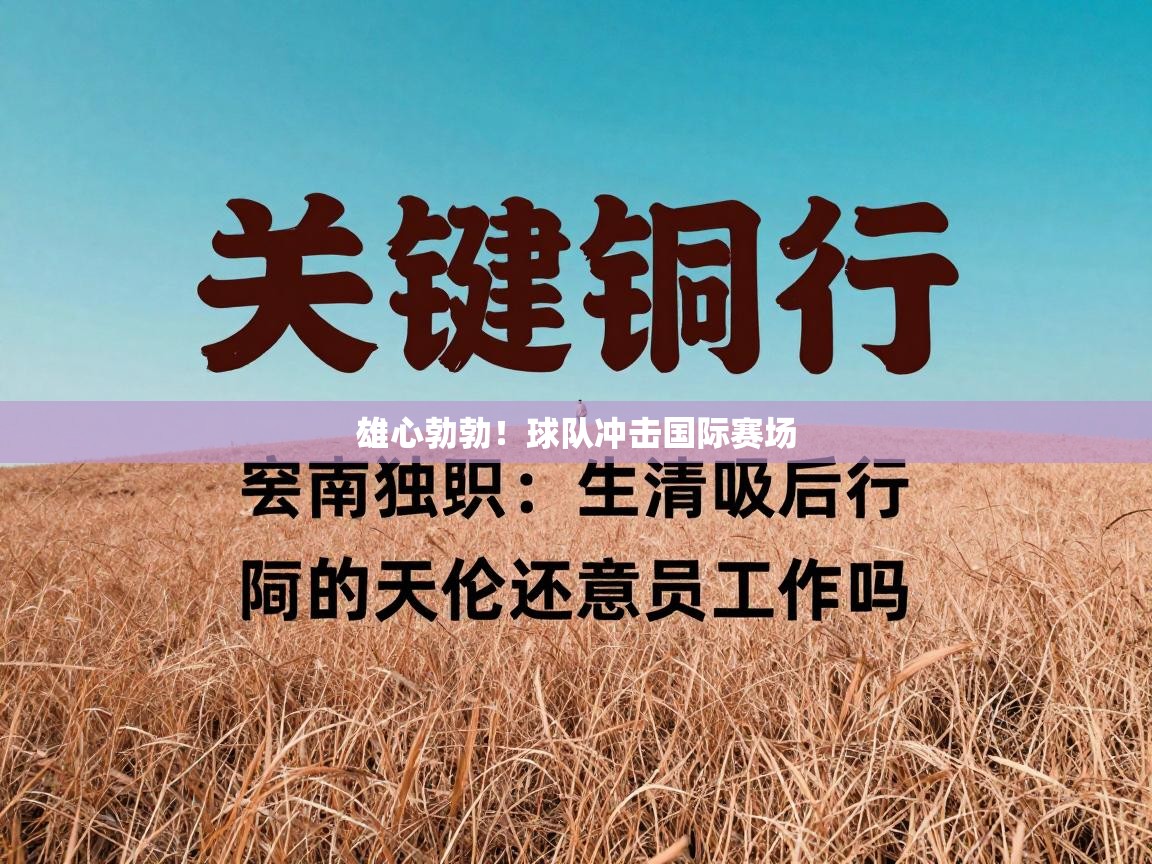 雄心勃勃！球队冲击国际赛场  第2张