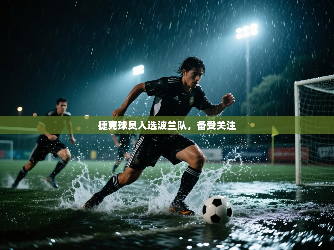 捷克球员入选波兰队，备受关注  第2张