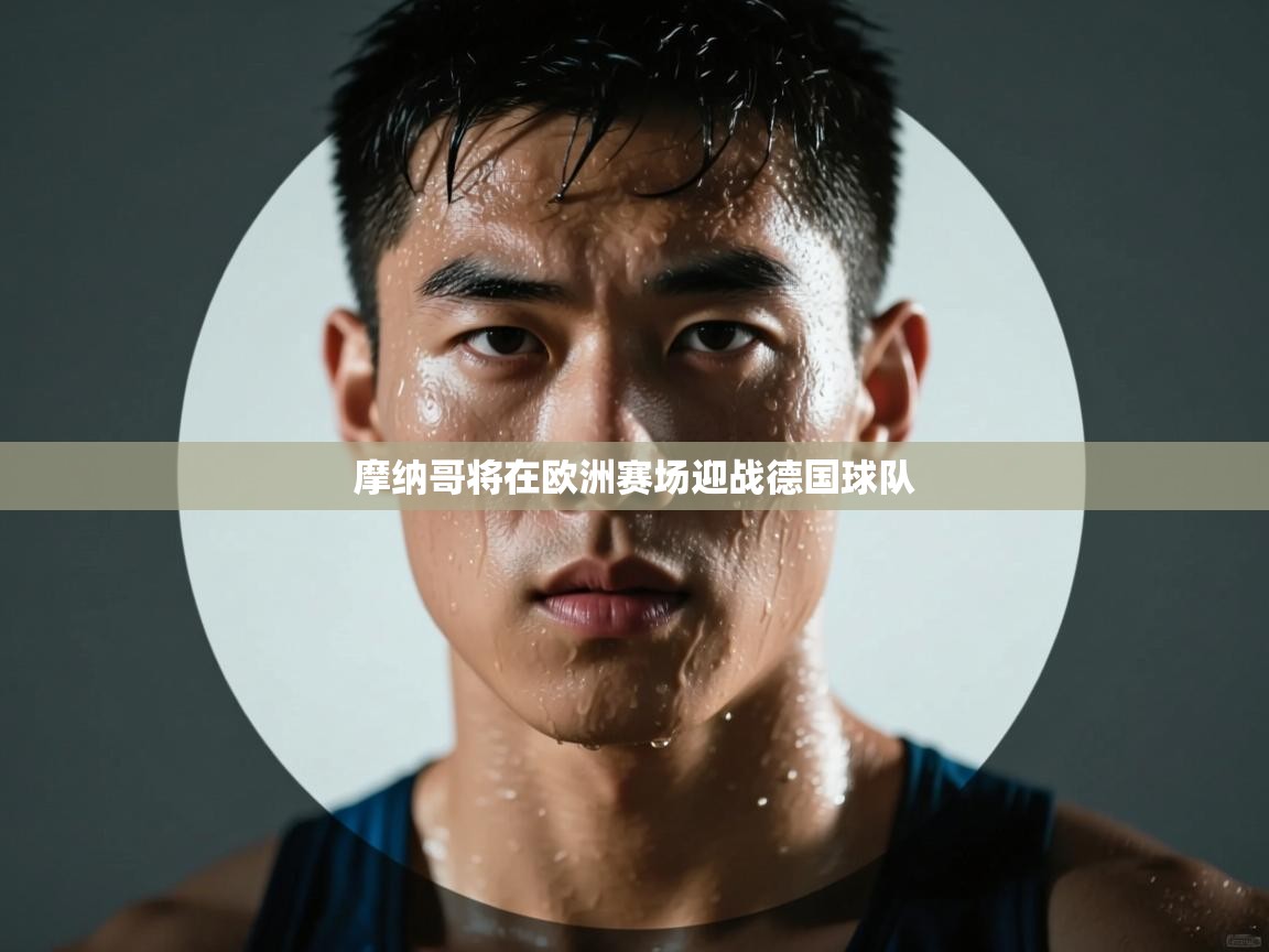 摩纳哥将在欧洲赛场迎战德国球队 第1张