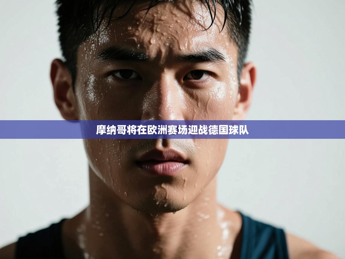 摩纳哥将在欧洲赛场迎战德国球队 第2张